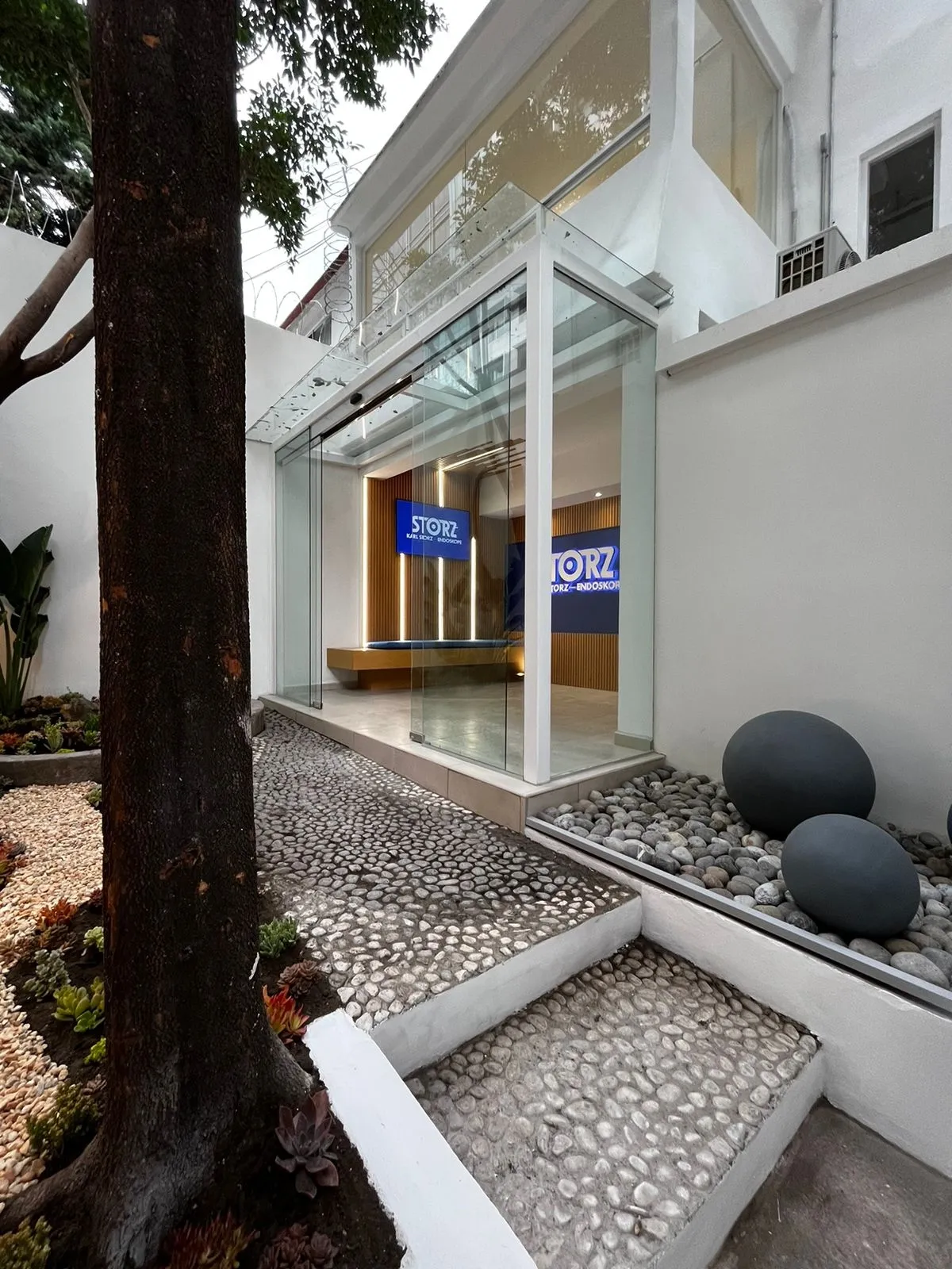 Proyecto Proyecto Karl Storz Endoskope Puerta Automatica - Smart Film (PDLC) - Foto 2