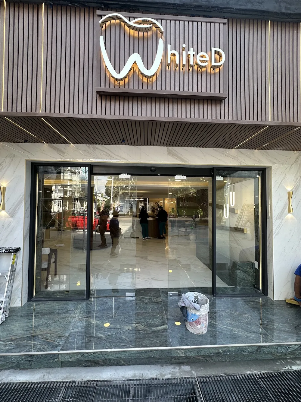 Proyecto Proyecto White D Patriotismo Puerta Automatica - Smart Film (PDLC) - Foto 10